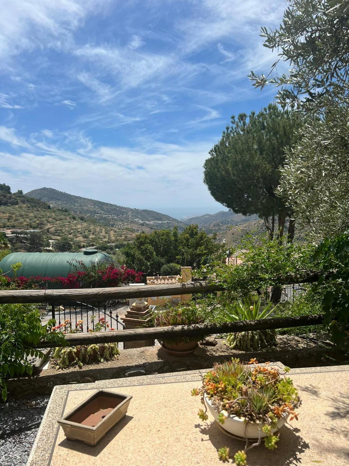 Los Olivos マラガ エクステリア 写真